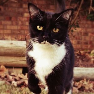 Meet your Posher, Lesley